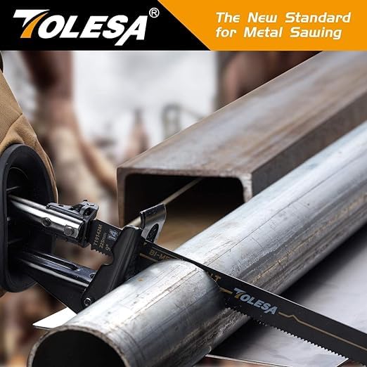 TOLESA 10 Pack Reciprocating Saw Blade Set, Premium 6 to 9 Inch Wood & Metal Cutting Pruner Saw Blades with Storage Box