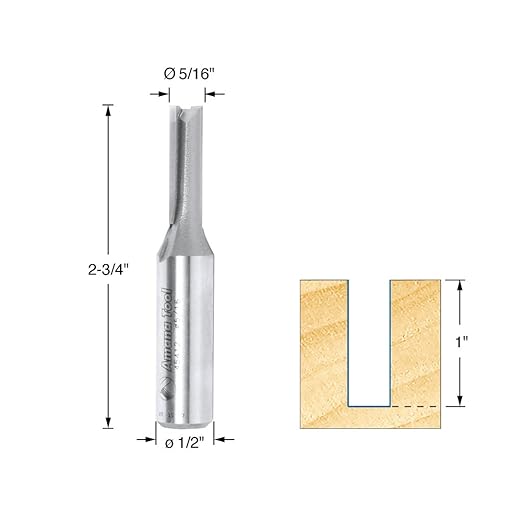 Amana Tool - 45412 Carbide Tipped Straight Plunge High Production 5/16 Dia x 1" 2
