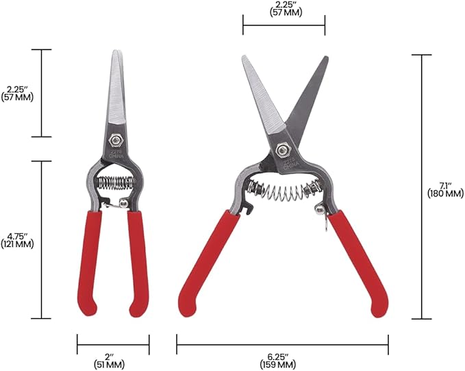 Zenport Z275 Needlenose Shear, Flower, 8-Inch Heavy Duty Forged Steel Straight Blade