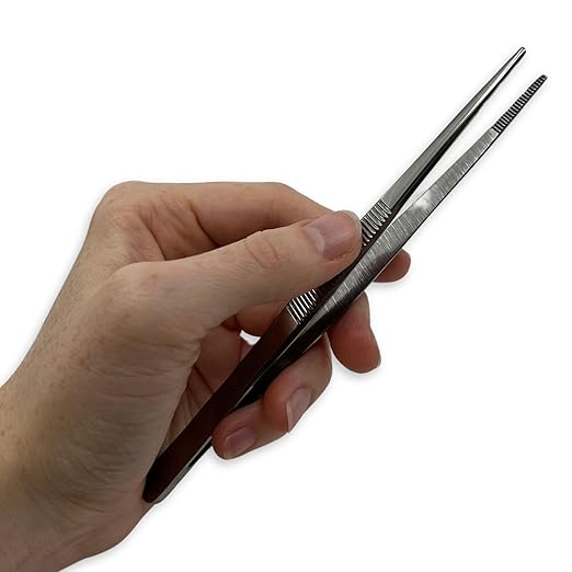 Eisco Labs - 6 Inch Stainless Steel Forceps - Precision Tweezers, Laboratory, Medical, and Educational Use - Durable, Corrosion-Resistant, Serrated Tips for Secure Grip - Dissection, Specimen Handling