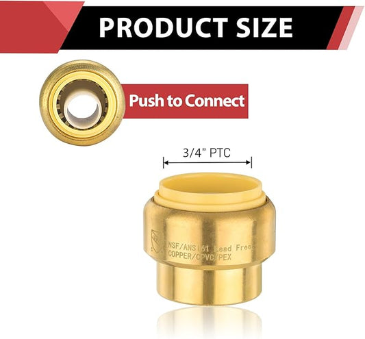 (Pack of 10) EFIELD 3/4 Inch Plug End Cap Push-Fit Fitting to Connect Pex, Copper, CPVC with Disconnect Clip,(PF100)