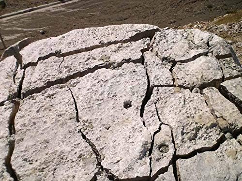 Expansive Demolition Grout 11 Lb. Bucket for Rock Breaking, Concrete Cutting, Excavating. Alternative to Demolition Jack Hammer Breaker, Jackhammer, Concrete Saw, Rock Drill (#3 (23F-50F))