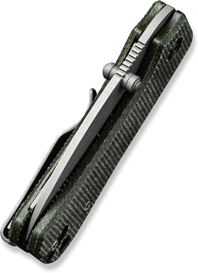 CIVIVI Baby Banter Pocket Knife for EDC, Ben Petersen Folding Knife with 2.34 in Nitro V Blade Green Micarta Handle, Titanium Thumb Stud Opener C19068SB-1(Green)