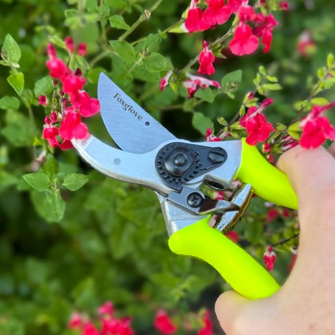 Foxglove 8.5" Pruning Shears ??Professional Garden Shears & Bypass Hand Pruners with Japanese SK5 High Carbon Steel Blades, Heavy Duty Garden Clippers & Gardening Tools