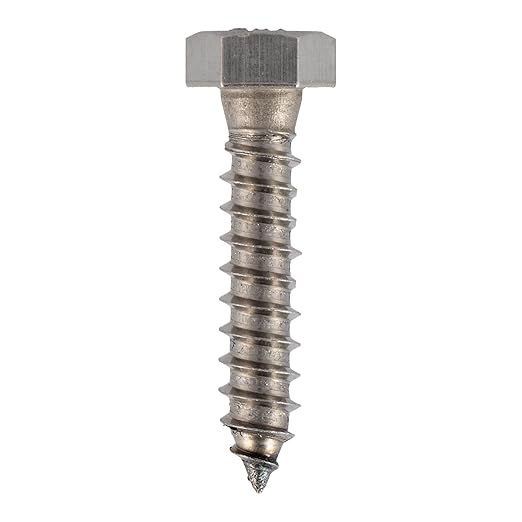 5/16 x 1 Stainless Lag Bolt (25-Pack) 18-8 Stainless Steel, Heavy Duty Hex Wood Lag Screw, ASME B18.2.1 Commercial/Industrial Grade by Makers Bolt