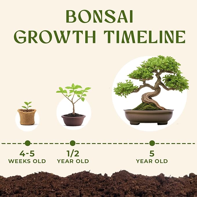DIY Bonsai Tree Kit for Beginners ??5X Unique Japanese Bonzai Trees | Complete Indoor Bonsai Starter Kit for Growing Bonsai Plants with Tools & Planters ??DIY Gardening Gifts for Women & Men