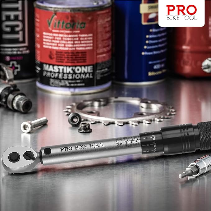 PRO BIKE TOOL Torque Wrench and Torque Screwdriver Set - Precision Tool for Bike Maintenance - 1/4 Inch Drive - 2.2 to 16.9 Nm - Complete Kit with Allen, Torx, Extension - with Protective Case