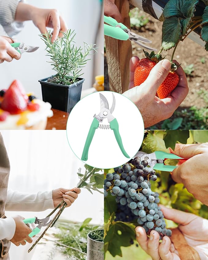 Pruning Shears for Gardening, 2 Pack Garden Scissors for Cutting Fresh Flowers, Floral Clippers for Plants, Fruits (Green)