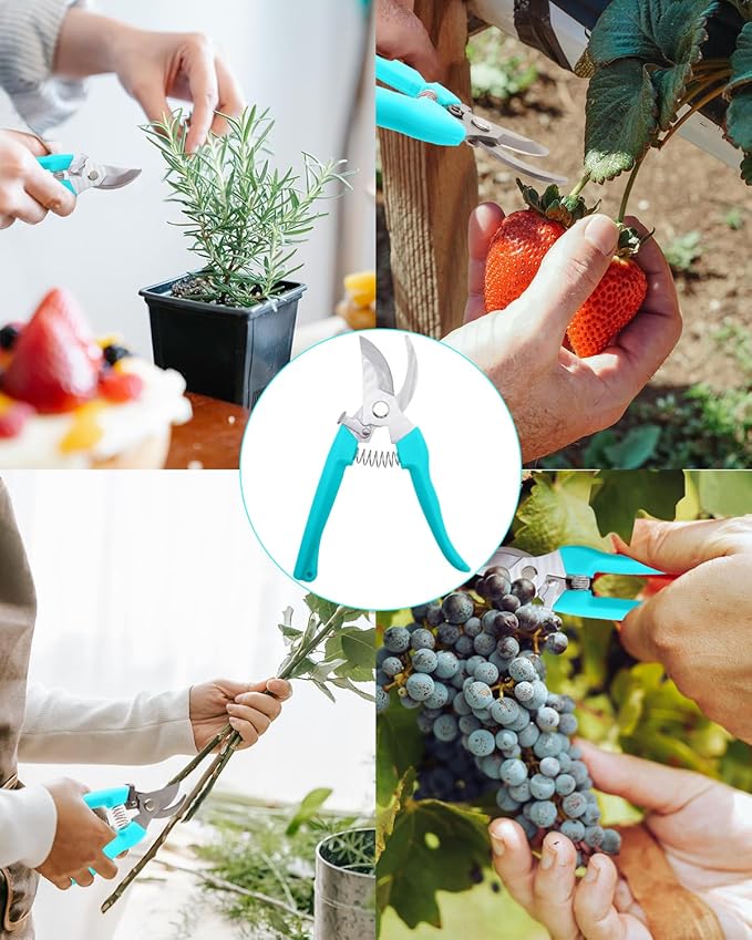 Pruning Shears for Gardening, 4 Pack Garden Scissors for Cutting Fresh Flowers, Floral Clippers for Plants, Fruits (Blue)