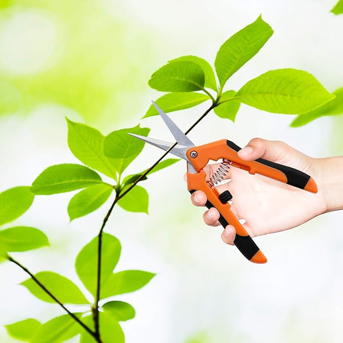 Gardzen 2-Pack 6.5'' Hand Pruner Pruning Shear, Functional Garden Scissors Cutter with Straight for Tackle Stems and Light Tree Branches