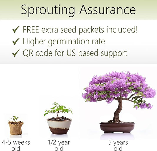 Bonsai Starter Kit ??Growing Jacaranda Bonzai Tree | Complete Indoor Tree Kit for Growing Plants with Tools & Planter ??Gardening Gifts for Mother, Women & Men