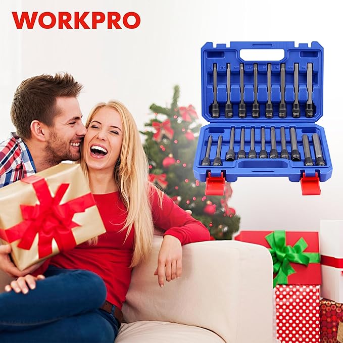 WORKPRO 19-piece 3/8 Inch Drive Extra Long Hex Bit Socket Set, Torx Bit Socket Set, Premium S2 Steel Long Allen Star Bits and CR-V Sockets Set with Storage Case