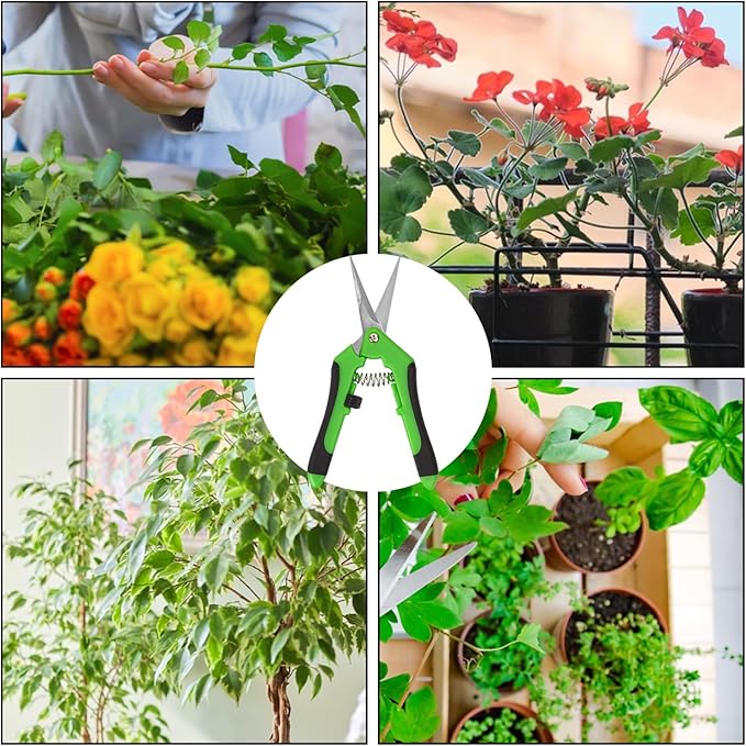20 Pack 6.5 Inch Garden Pruning Scissors, Hand Pruner with Stainless Steel Blades, Sharp Point Gardening Shears Cutter, Gardening Pruning Shear, Supplies & Accessories(Green)