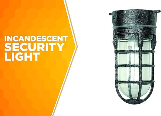 Woods L1706BLK Vandal Resistant 150W Incandescent Security Light, Ceiling Mount, Hammered Black
