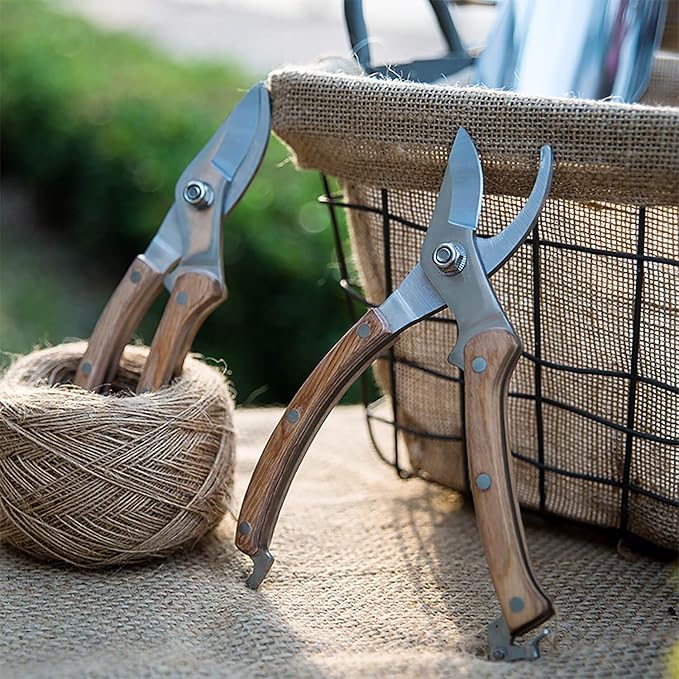 BUGUI 8??Wood Handle Garden Scissors, Set of 2, Includes Bypass Pruning Shears and Long Straight Tip Clippers, Premium Gardening Tools with Precision-Ground SK-5 Steel Blade