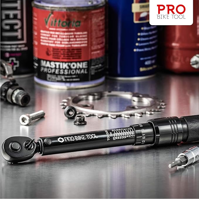 PRO BIKE TOOL Click Bicycle Torque Wrench Set, 2-20 Nm - Includes Storage Box, Allen & Torx Sockets, Extension Bar
