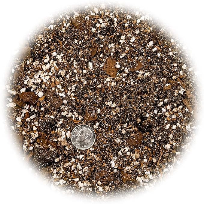 GARDENERA Premium Spider Plant Potting Soil Mix - (3 Quart Bag)