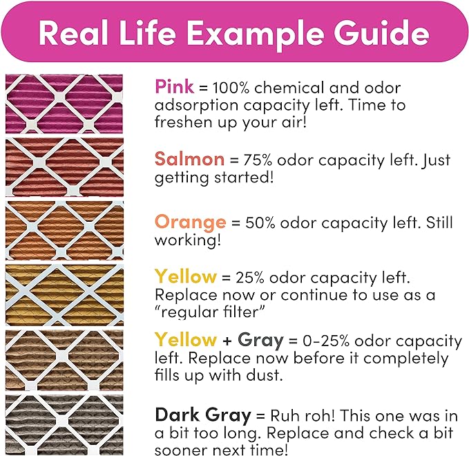Colorfil 20x30x1 Air Filter (2-Pack) | Made in the USA | Color Changing | Remove Cat and Dog Odor | MERV 8 for Pet Hair Dander and Dust | 19.75"x29.75"x0.75" Exact Size