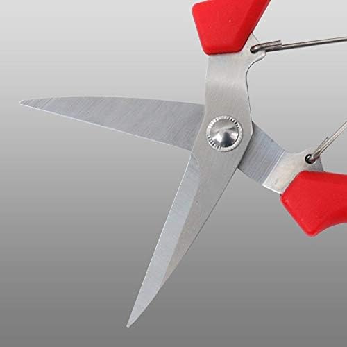 Extra Edge Pruning Shears Fruit Trees Bonsai Sharp Home Garden Scissors Tool Super Sharp SK5 Alloy Steel Pruning Shears Scissors Clippers