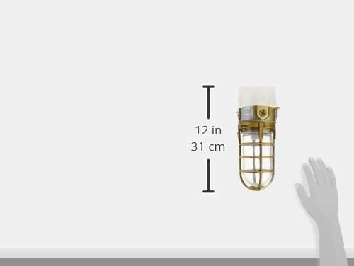 Woods L1706AB Vandal Resistant 150W Incandescent Security Light; Ceiling Mount; Antique Brass