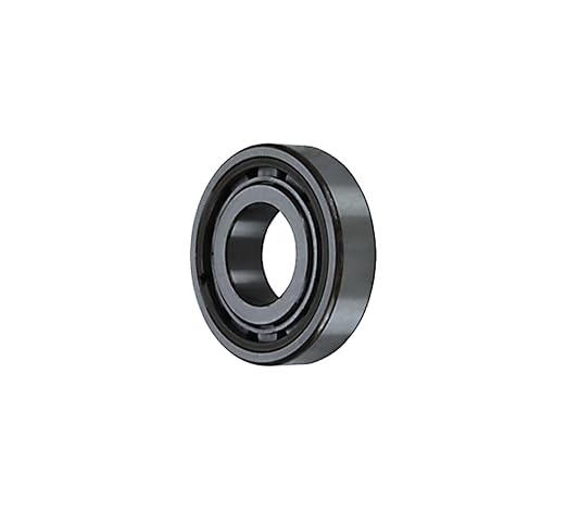 Mytee Products Cyndrical Bearing Assembly Replaces OEM: 4303031 (2 Pack)