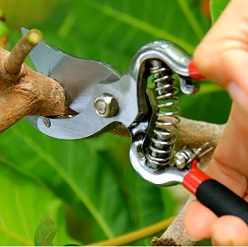 Garden Guru Classic Bypass Pruning Shears Clippers ??Heavy Duty Forged Steel Pruners ??Non Slip Comfort Grips ??Cuts up to 1??Diameter ??Professional Bypass Pruners Black - 1 Case (60 Pcs)