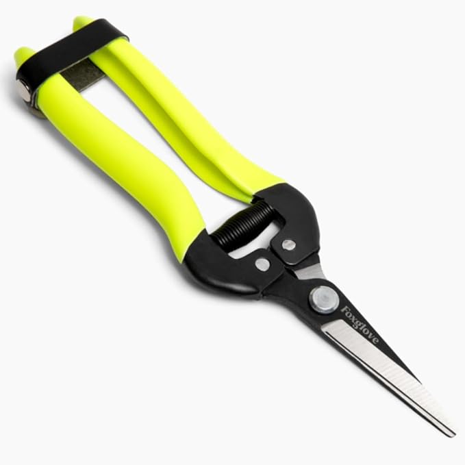 Foxglove Garden Scissors ??Professional Pruning Shears for Gardening, Ultra-Sharp Garden Shears with Japanese SK5 Steel Blades, Ergonomic Gardening Shears & Garden Clippers for Flowers and Plants