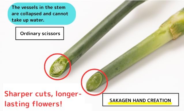 Japanese Florist Scissors ??Professional Ultra Sharp Flower Shears Made in JAPAN for Floral Design & Gardening SAKAGEN HAND CREATION F-170 (Moss Green)