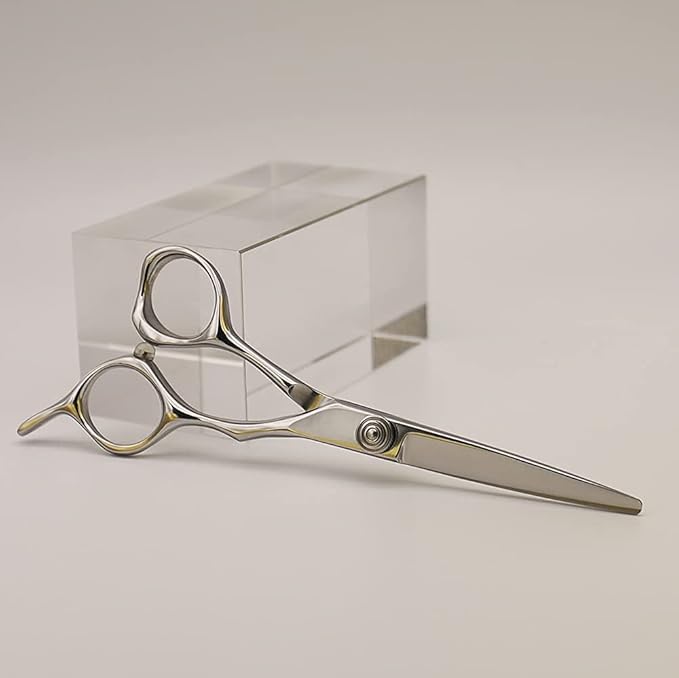 AOLANDUO 5.5-Inch Professional Hair Shears ??Japanese VG10 Steel, True Convex Edge, Semi-Offset Handle, CNC Pivot ??Precision Scissors for Detailing, Layering & Edging