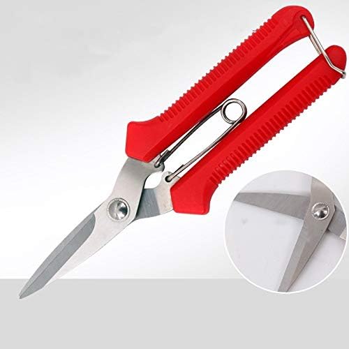 Extra Edge Pruning Shears Fruit Trees Bonsai Sharp Home Garden Scissors Tool Super Sharp SK5 Alloy Steel Pruning Shears Scissors Clippers