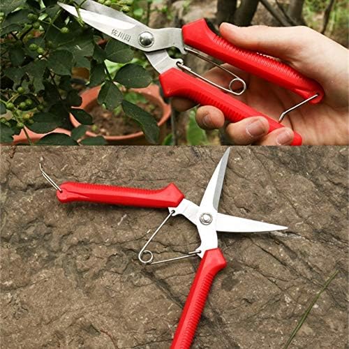 Extra Edge Pruning Shears Fruit Trees Bonsai Sharp Home Garden Scissors Tool Super Sharp SK5 Alloy Steel Pruning Shears Scissors Clippers