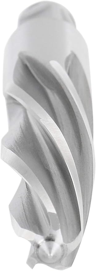 Accusize Industrial Tools 1 in. H.S.S. Aligning Reamers with 3/4 inch Weldon Shank, Spiral Flute, 0521-0001