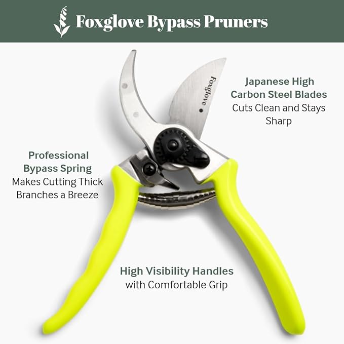 Foxglove 8.5" Pruning Shears ??Professional Garden Shears & Bypass Hand Pruners with Japanese SK5 High Carbon Steel Blades, Heavy Duty Garden Clippers & Gardening Tools