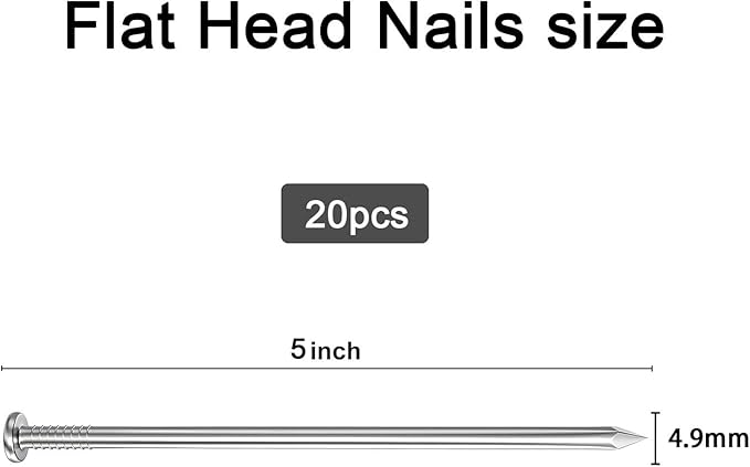 20PCS Galvanized Steel Hardware Nails with Storage Box, 5Inch Flat Head Nails for Hanging Pictures and Woodworking, Picture Hanging Nails, Long Nails, Wall Nails, Wood Nails, Finishing Nails
