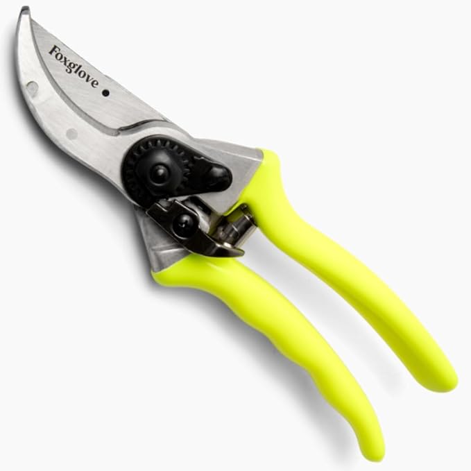 Foxglove 8.5" Pruning Shears ??Professional Garden Shears & Bypass Hand Pruners with Japanese SK5 High Carbon Steel Blades, Heavy Duty Garden Clippers & Gardening Tools