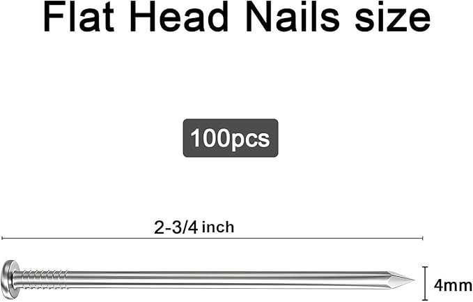 100PCS Galvanized Steel Hardware Nails Storage Box, 2-3/4Inch Flat Head Nails for Hanging Pictures and Woodworking, Picture Hanging Nails, Long Nails, Wall Nails, Wood Nails, Finishing Nails