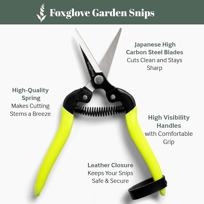 Foxglove Garden Scissors ??Professional Pruning Shears for Gardening, Ultra-Sharp Garden Shears with Japanese SK5 Steel Blades, Ergonomic Gardening Shears & Garden Clippers for Flowers and Plants