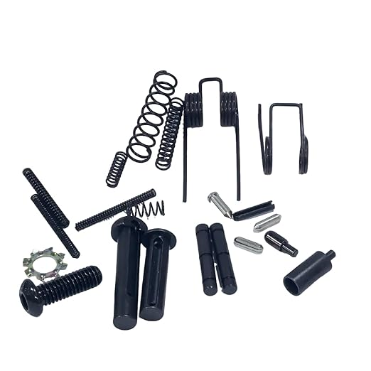 Screws and Pin Assortment Sping Kit for Repair 21 Pcs