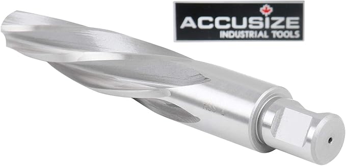 Accusize Industrial Tools 1 in. H.S.S. Aligning Reamers with 3/4 inch Weldon Shank, Spiral Flute, 0521-0001