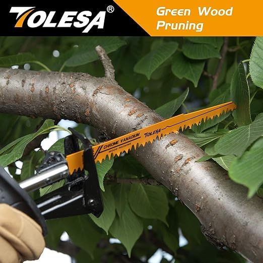 TOLESA 10 Pack Reciprocating Saw Blade Set, Premium 6 to 9 Inch Wood & Metal Cutting Pruner Saw Blades with Storage Box