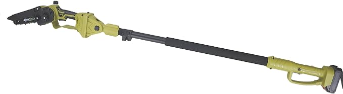 2-IN-1 Cordless Pole Saw & Mini Chainsaw, 21V 4.0Ah Battery Powered 8 Inch Electric Pole Chainsaw, 15Ft MAX Reach Pole Saw for Tree Trimming(2 * 4Ah Batteries and Fast Charger Included)