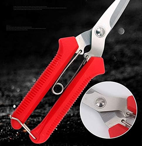Extra Edge Pruning Shears Fruit Trees Bonsai Sharp Home Garden Scissors Tool Super Sharp SK5 Alloy Steel Pruning Shears Scissors Clippers