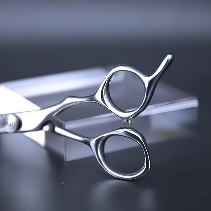 AOLANDUO 5.5-Inch Professional Hair Shears ??Japanese VG10 Steel, True Convex Edge, Semi-Offset Handle, CNC Pivot ??Precision Scissors for Detailing, Layering & Edging