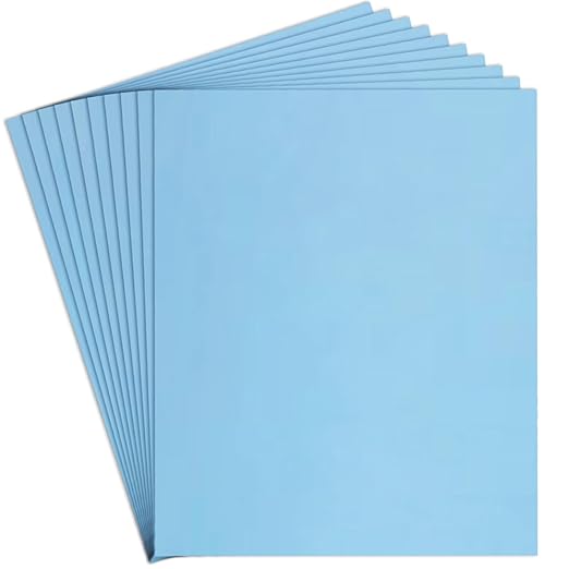 7000 Grit Sand Paper, 9 x 11 Inch, 10 Pcs Wet Dry Sandpaper Sheets, Silicon Carbide for Wood, Metal, Automotive Sanding and Polishing, Waterproof and Durable