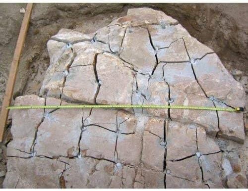 Expansive Demolition Grout 11 Lb. Bucket for Rock Breaking, Concrete Cutting, Excavating. Alternative to Demolition Jack Hammer Breaker, Jackhammer, Concrete Saw, Rock Drill (#3 (23F-50F))