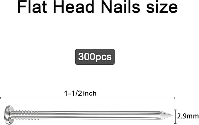 300PCS Galvanized Steel Hardware Nails with Storage Box, 1-1/2 Inch Flat Head Nails for Hanging Pictures and Woodworking, Picture Hanging Nails, Small Nails, Wall Nails, Wood Nails, Finishing Nails