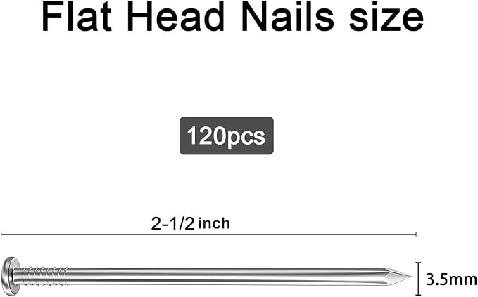 120PCS Galvanized Steel Hardware Nails with Storage Box, 2-1/2Inch Flat Head Nails for Hanging Pictures and Woodworking, Picture Hanging Nails, Long Nails, Wall Nails, Wood Nails, Finishing Nails