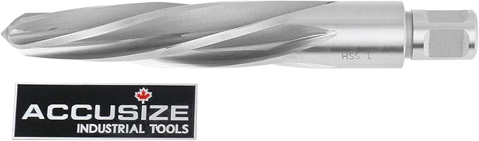 Accusize Industrial Tools 1 in. H.S.S. Aligning Reamers with 3/4 inch Weldon Shank, Spiral Flute, 0521-0001