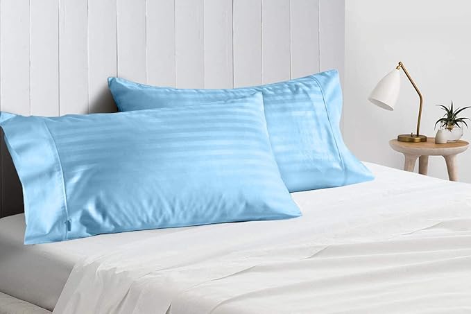 2Pcs Pillowcase 800 Thread Count 100% Egyptian Cotton Pillows for Sleeping, Soft & Silky Sateen Weave Bed Pillow Cover Long-Staple Standard Pillowcase Set of 2 Size (20"x40") - Light Blue Stripe
