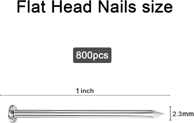 800pcs Galvanized Steel Hardware Nails with Storage Box, 1 Inch Flat Head Nails for Hanging Pictures and Woodworking, Picture Hanging Nails, Small Nails, Wall Nails, Wood Nails, Finishing Nails